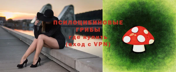 не бодяженный Арсеньев