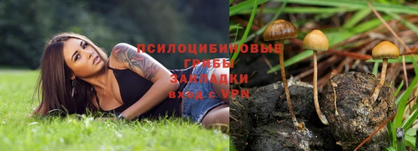 гашиш Аркадак