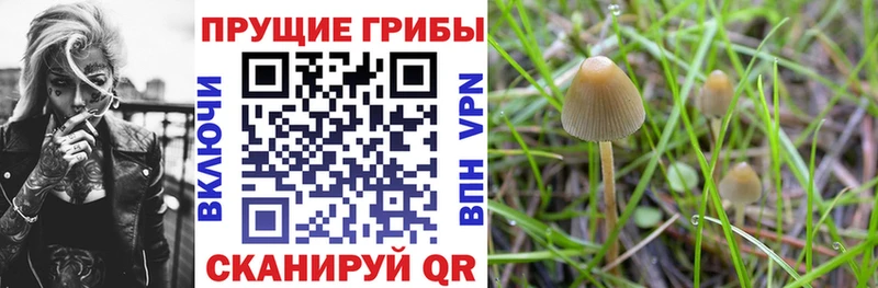 Галлюциногенные грибы MAGIC MUSHROOMS  Урай 